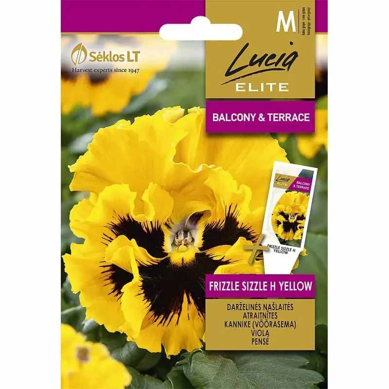 Stedmoderblomst 'Frizzle Sizzle' H