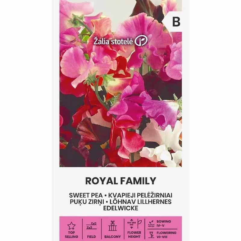 Ærteblomst 'Royal Family'