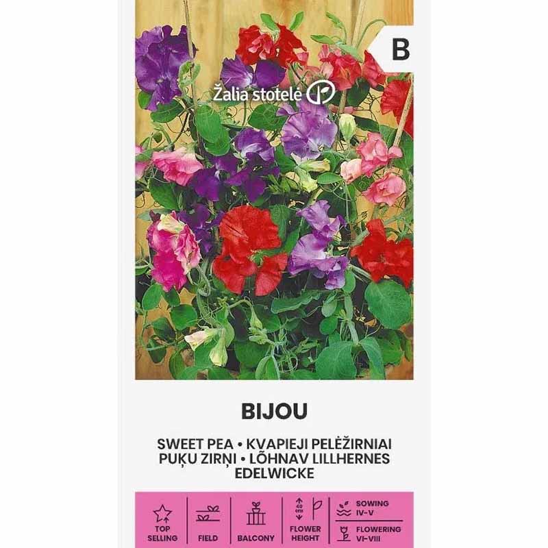 Ærteblomst 'Bijou'