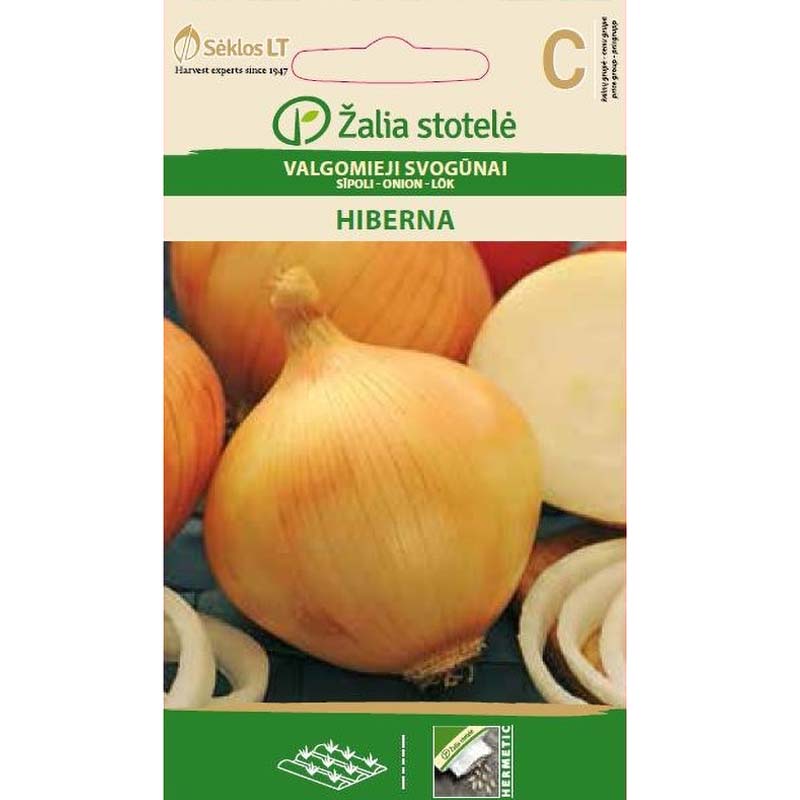 Løg 'Hiberna'