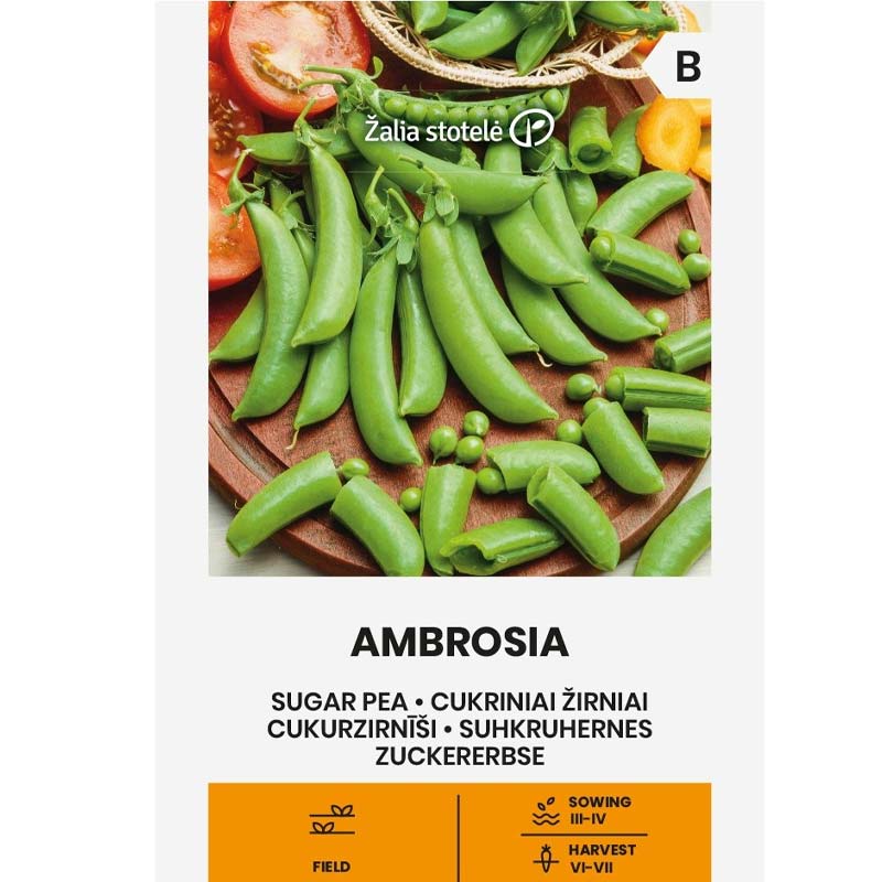 Sukkerært 'Ambrosia'