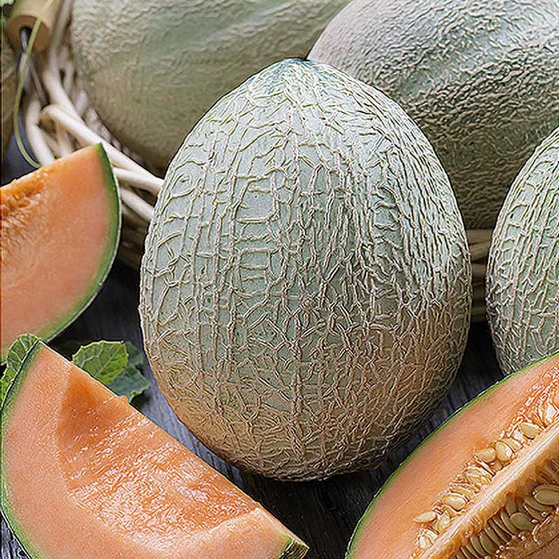 Melon 'Emir' F1