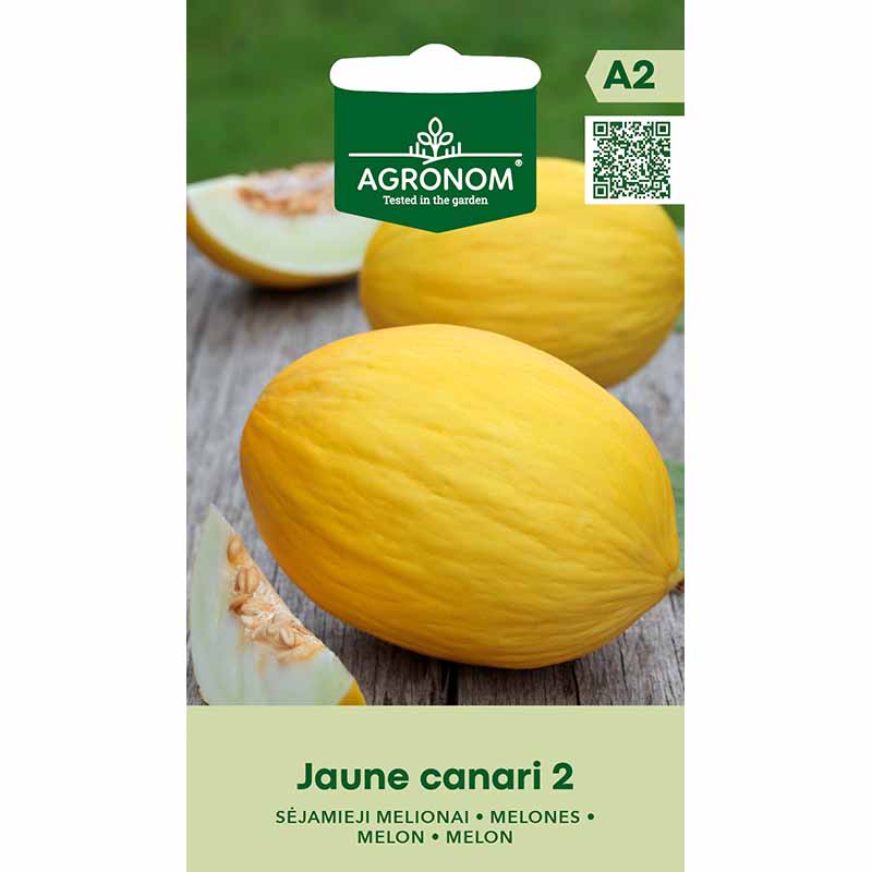 Melon 'Jaune Canari 2'