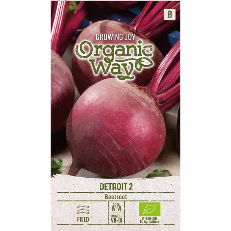 Rødbede 'Detroit 2'