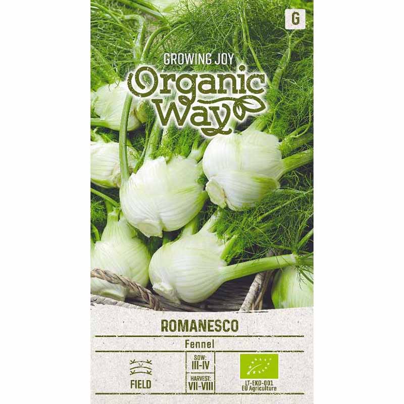 Fennikel 'romanesco'