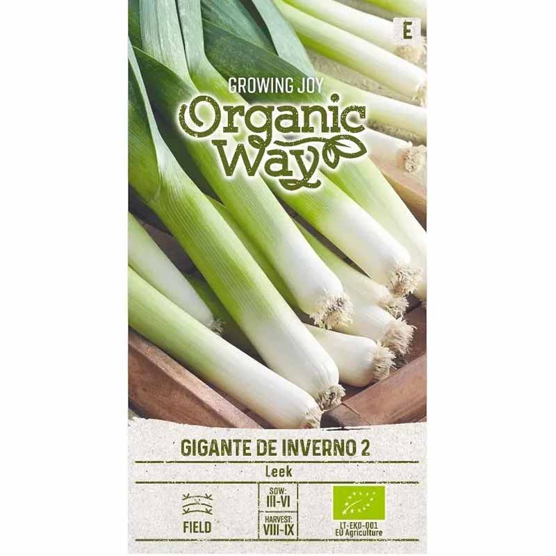 Leek 'Gigante de inverno 2'