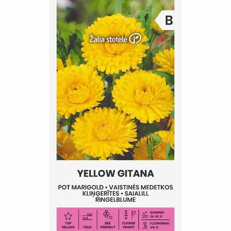 Morgenfrue 'Yellow gitana'