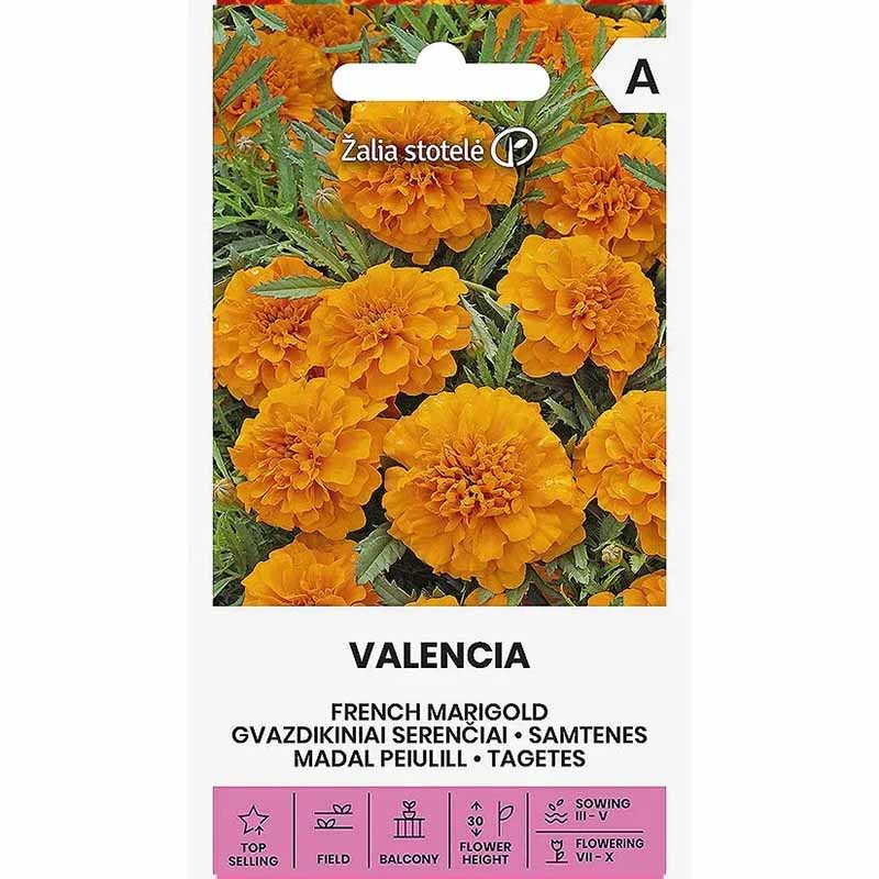 Fløjlsblomst 'Valencia'
