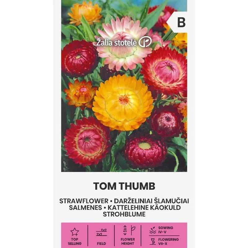 Evighedsblomst 'Tom Thumb'