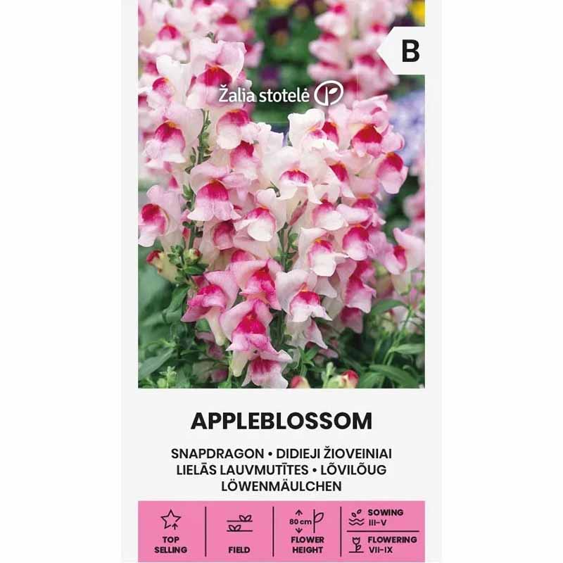 Løvemund 'Appleblossom'