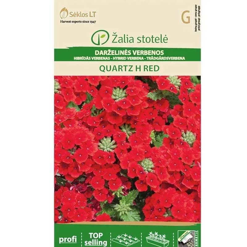 Verbena 'Quartz' F1 Rød
