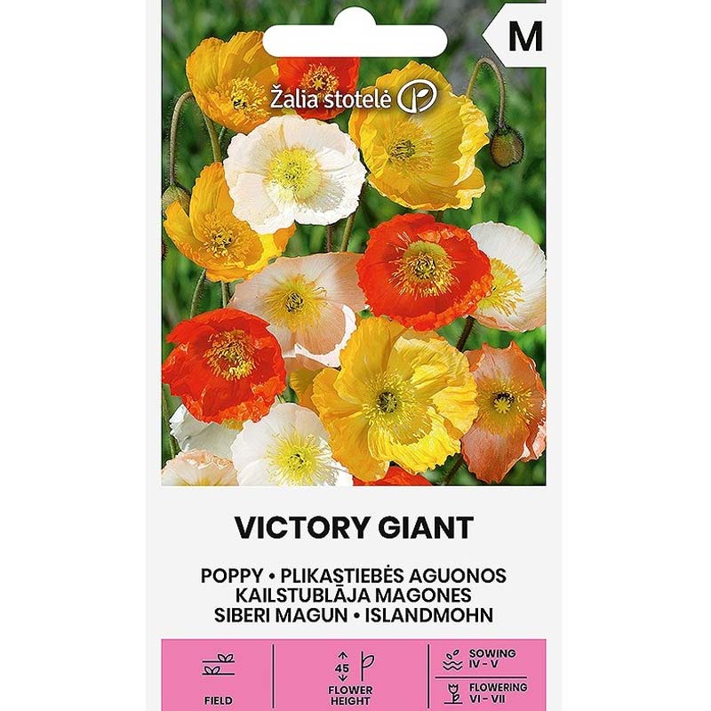 Valmue 'Victory Giant'
