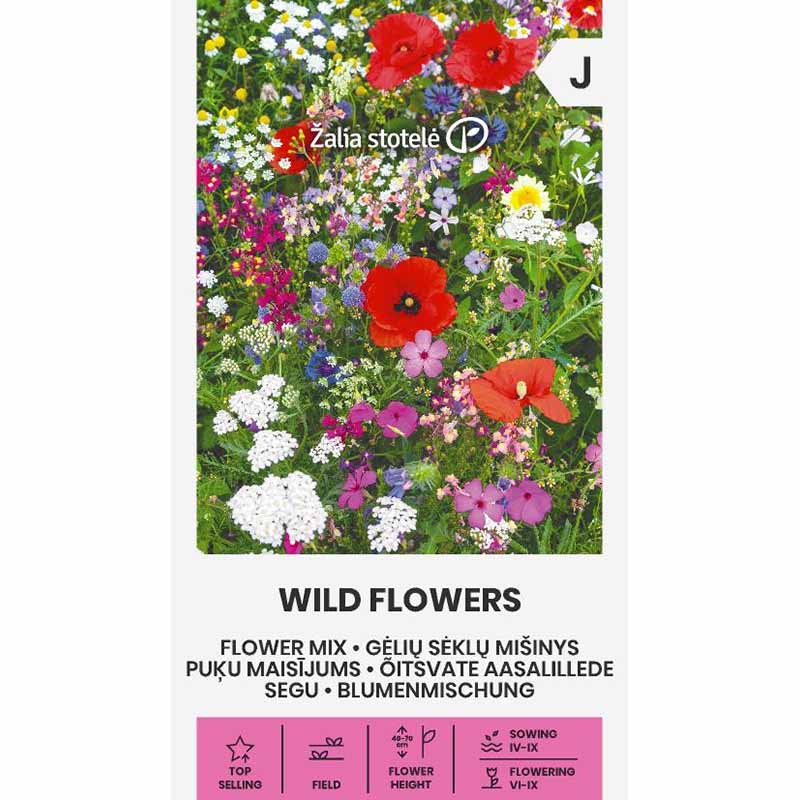 Blomsterblanding 'Wild Flowers'