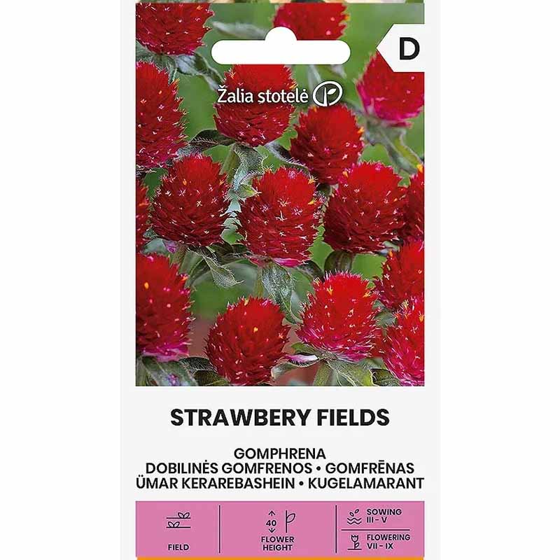 Rød glorieamarant 'Strawberry Fields'