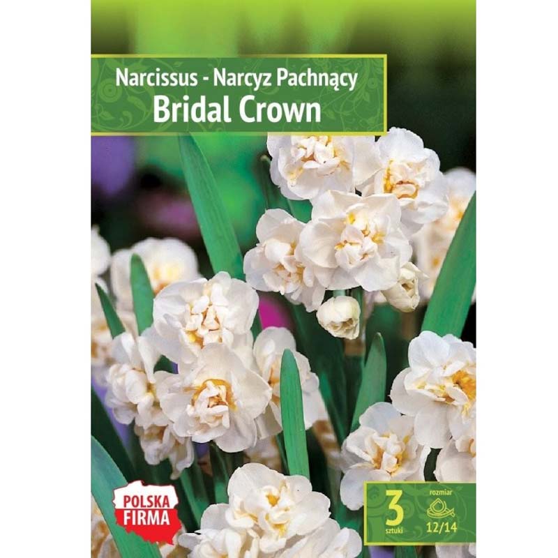 Narciss ’Bridal Crown’