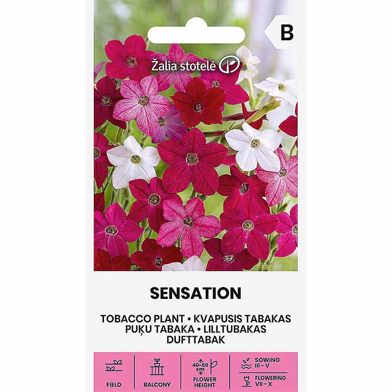 Prydtobak 'Sensation'